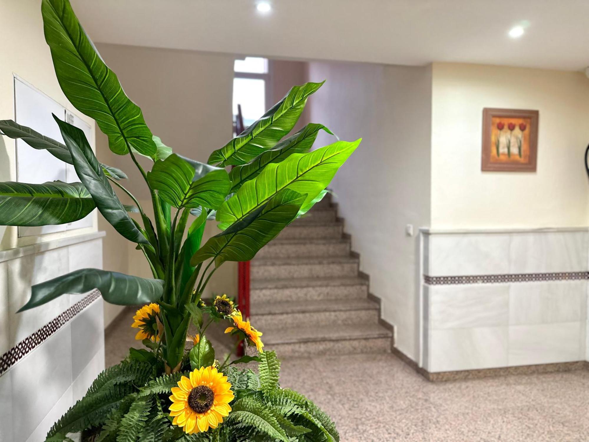 Studio In Costa Del Sol, Sea, Sunshine & Views فوينخيرولا المظهر الخارجي الصورة
